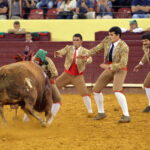 Luis Rouxinol, Filipe Gonçalves y Francisco Palha con toros de Pinto Barreiros