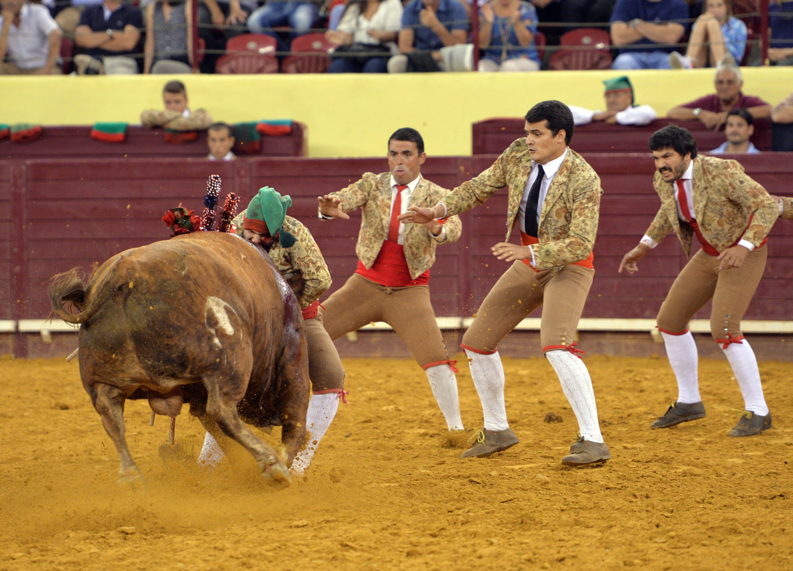 Luis Rouxinol, Filipe Gonçalves y Francisco Palha con toros de Pinto Barreiros