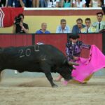 Vila Franca de Xira (Portugal), domingo 8 de julio de 2018