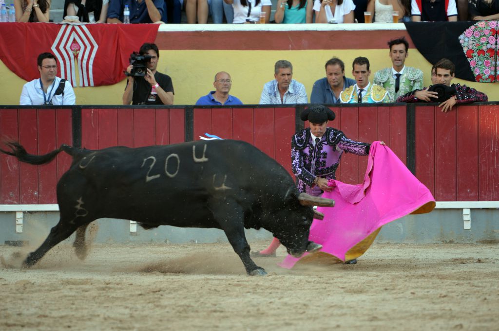 Vila Franca de Xira (Portugal), domingo 8 de julio de 2018