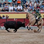 Vila Franca de Xira (Portugal), domingo 8 de julio de 2018
