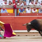 Pamplona, 14 de julio de 2018