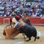 Valencia, 27 de julio de 2017