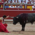 Pamplona, 14 de julio de 2018
