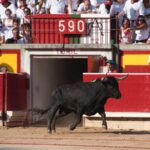 Pamplona, 14 de julio de 2018