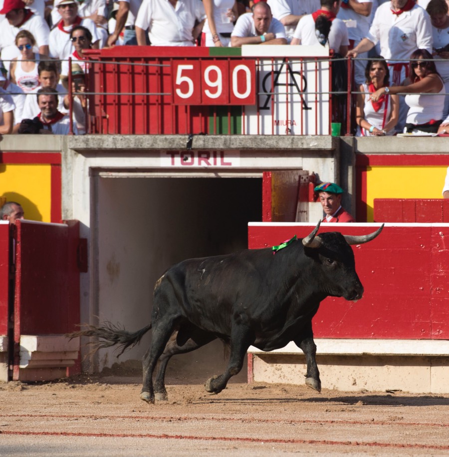 Pamplona, 14 de julio de 2018