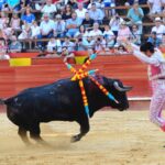 Valencia, 27 de julio de 2017