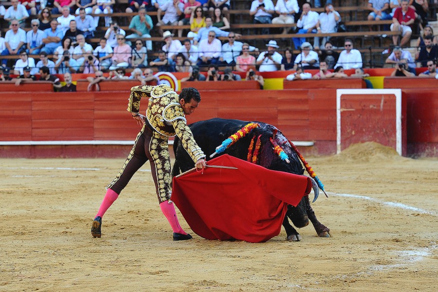 Valencia, 27 de julio de 2017