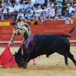 Valencia, 27 de julio de 2017