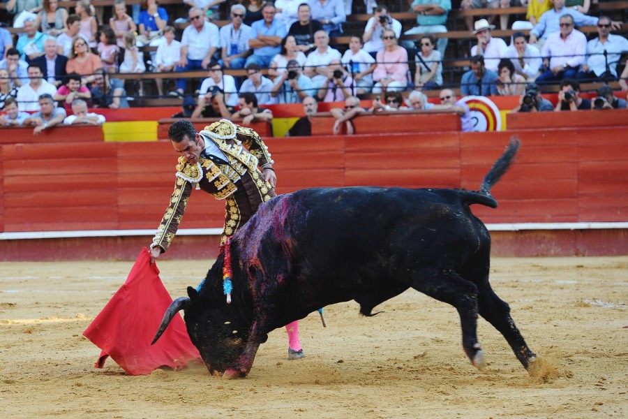 Valencia, 27 de julio de 2017