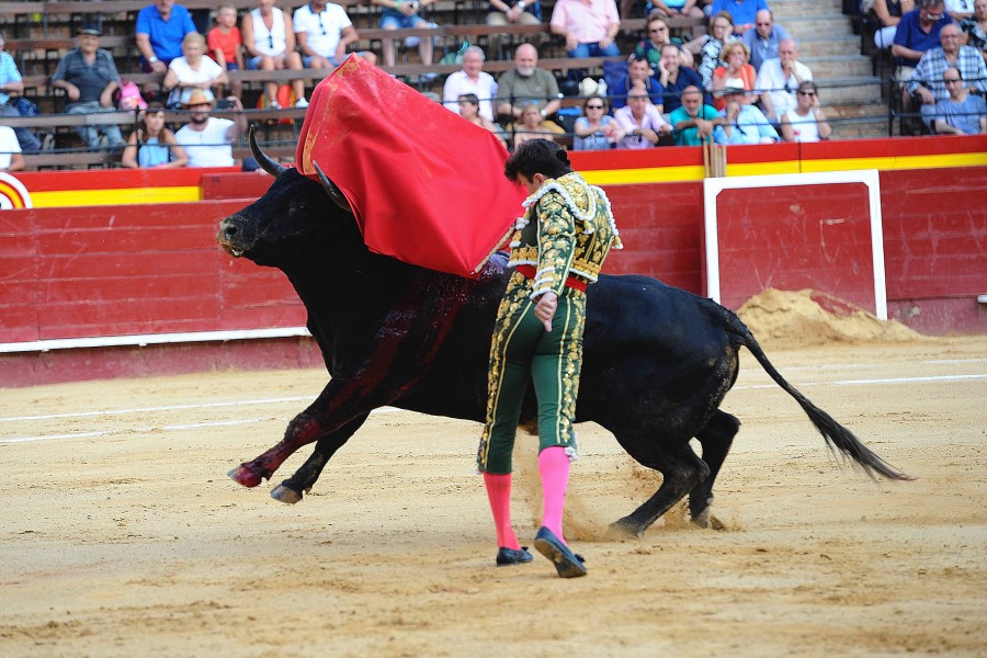 Valencia, 27 de julio de 2017