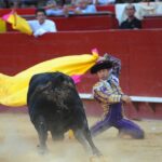 Valencia, 27 de julio de 2017