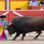 Pamplona, 14 de julio de 2018