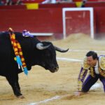 Valencia, 27 de julio de 2017