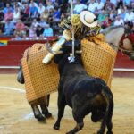 Valencia, 27 de julio de 2017