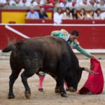 Pamplona, 14 de julio de 2018