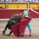 Pamplona, 14 de julio de 2018