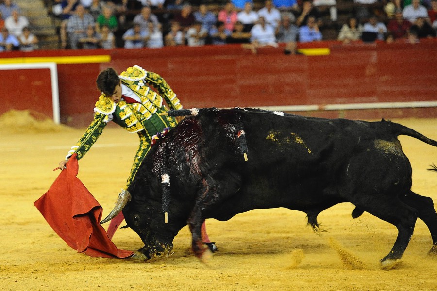 Valencia, 27 de julio de 2017