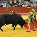 Valencia, 27 de julio de 2017