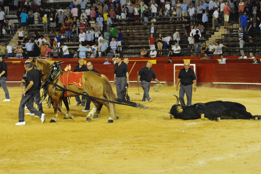 Valencia, 27 de julio de 2017