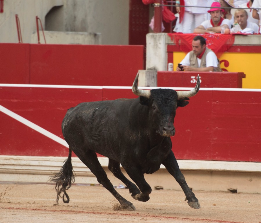 Pamplona, 14 de julio de 2018