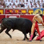 Pamplona, 14 de julio de 2018