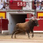 Pamplona, 14 de julio de 2018