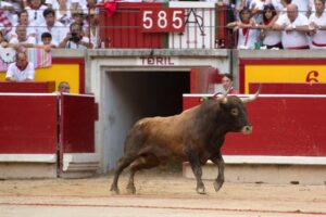 Pamplona, 14 de julio de 2018