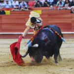 Valencia, 27 de julio de 2017