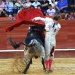 Valencia, 27 de julio de 2017