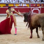 Pamplona, 14 de julio de 2018