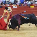 Valencia, 27 de julio de 2017