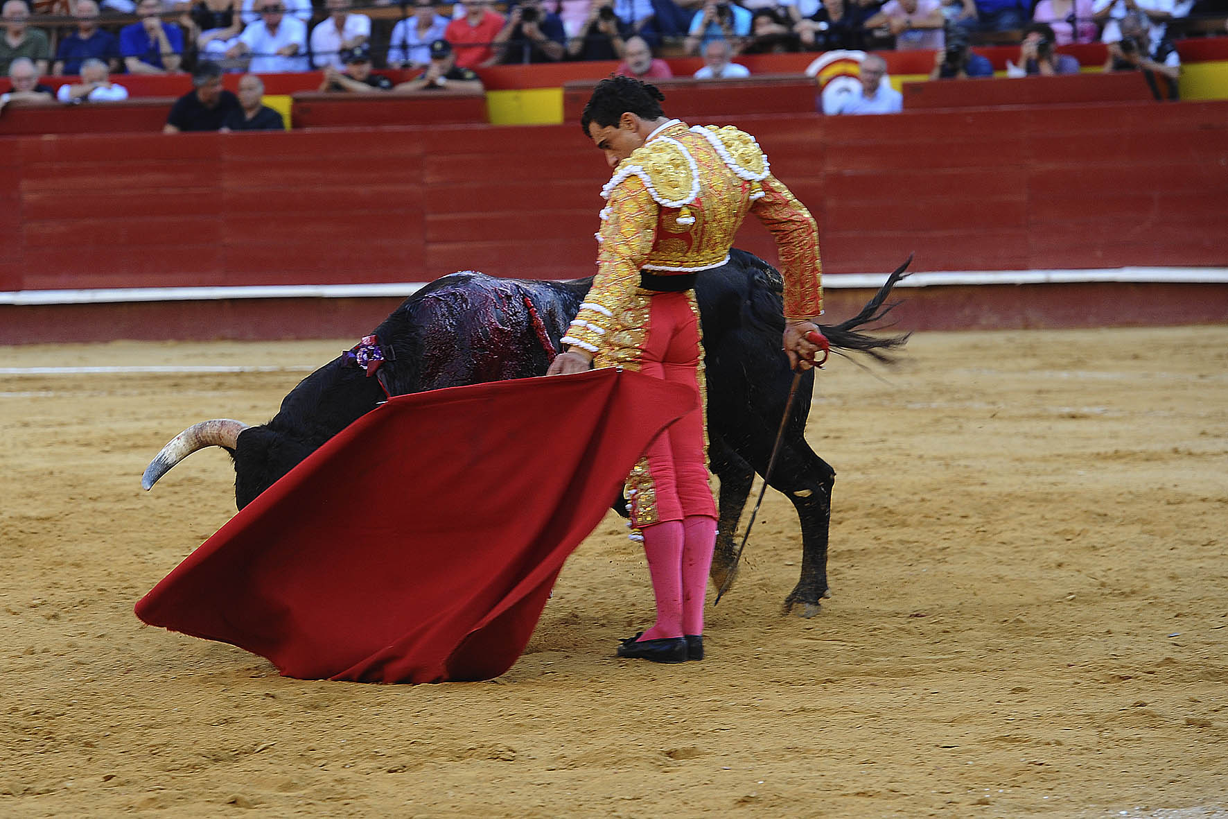 Valencia, 27 de julio de 2017