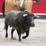 Azpeitia, 29 de julio de 2018