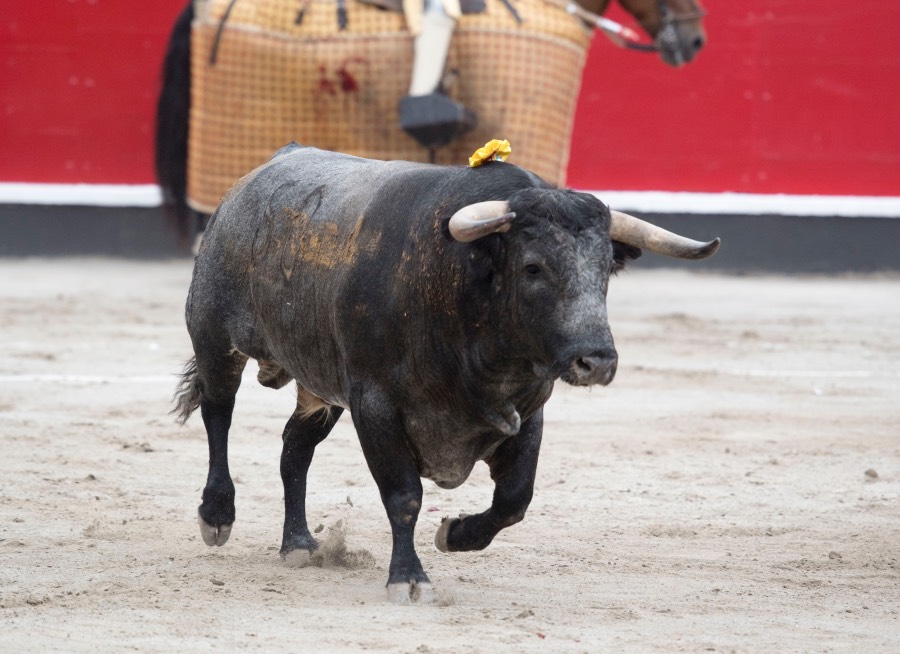 Azpeitia, 29 de julio de 2018