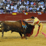 Valencia, 27 de julio de 2017