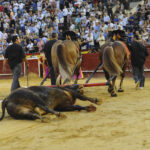 Valencia, 27 de julio de 2017