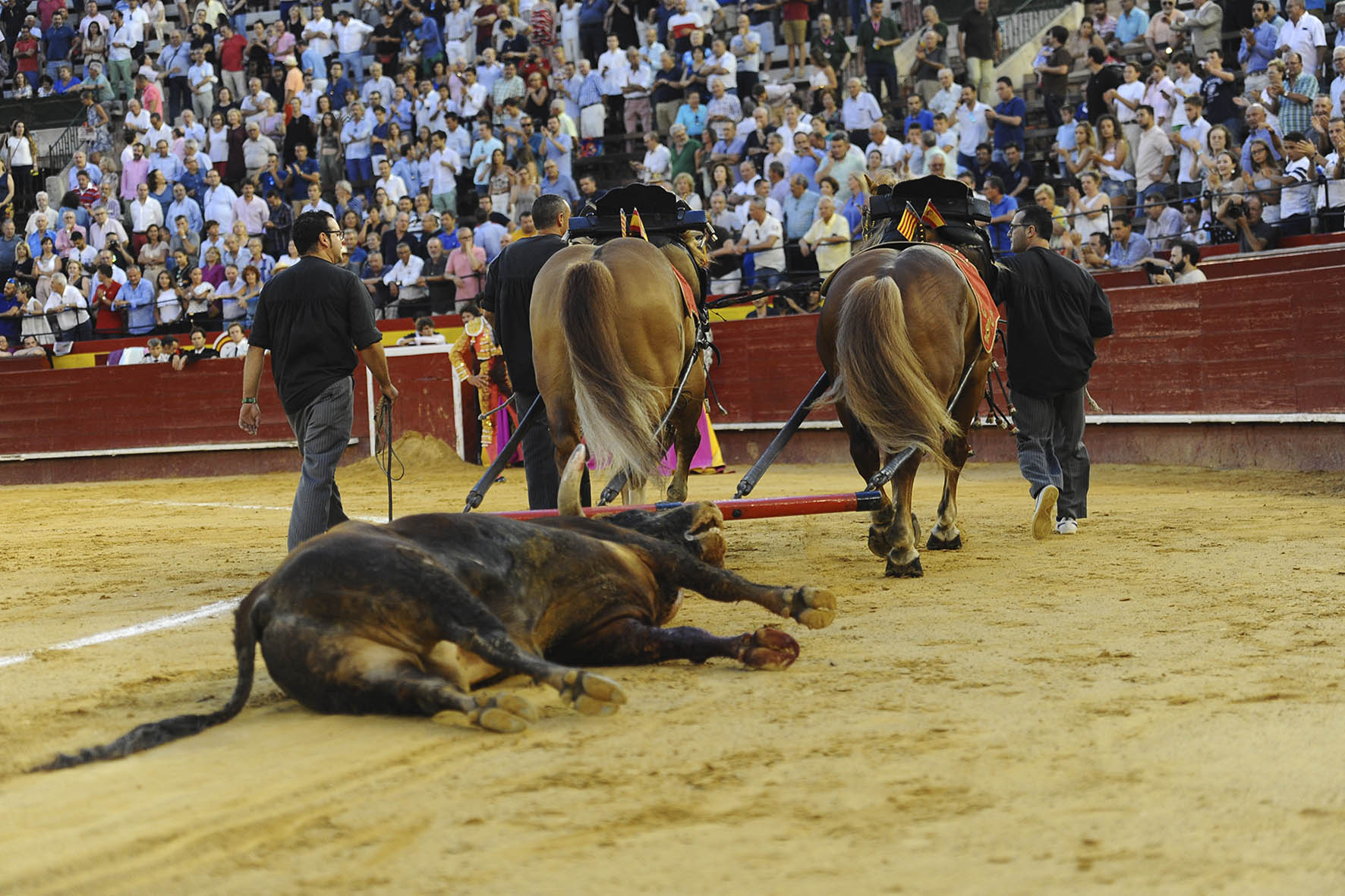 Valencia, 27 de julio de 2017