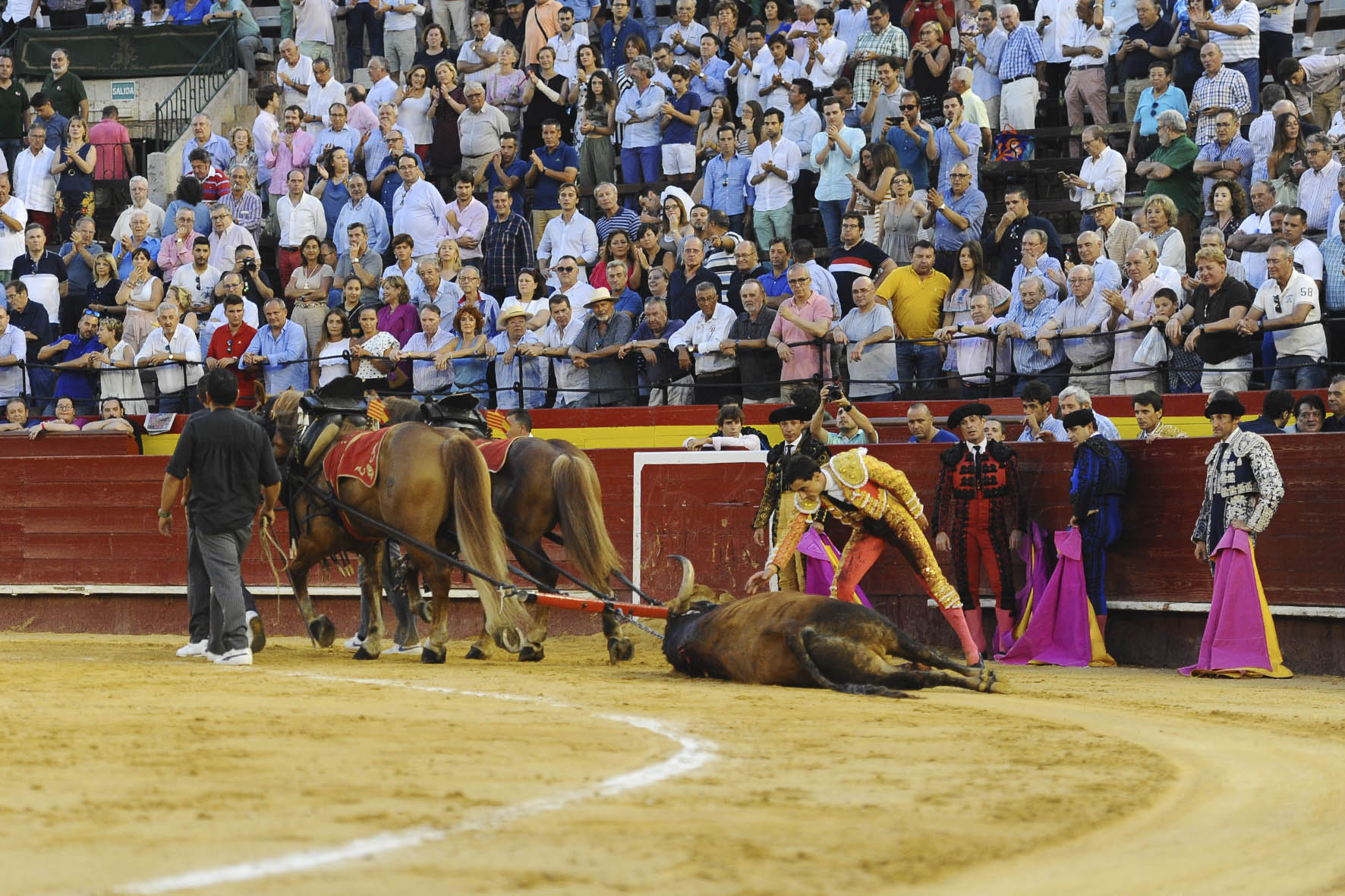 Valencia, 27 de julio de 2017