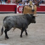 Azpeitia, 29 de julio de 2018