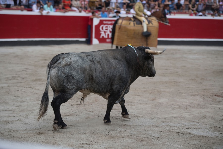 Azpeitia, 29 de julio de 2018