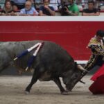 Azpeitia, 29 de julio de 2018