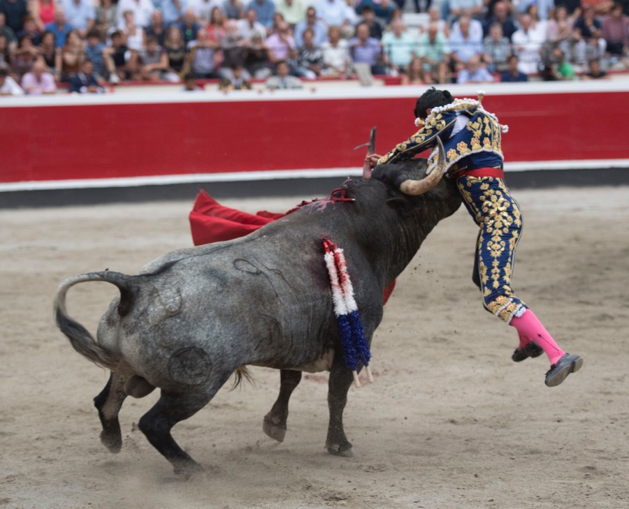 Azpeitia, 29 de julio de 2018
