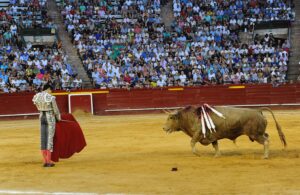 Roca asume la responsabilidad de darle vida a la feria.