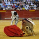 Valencia, 29 de julio de 2018