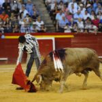 Valencia, 29 de julio de 2018