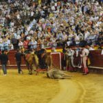 Valencia, 29 de julio de 2018