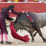 Pamplona - Corrida de toros - Domingo 8 de julio de 2018
