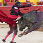 Pamplona - Corrida de toros - Domingo 8 de julio de 2018