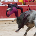 Pamplona - Corrida de toros - Domingo 8 de julio de 2018